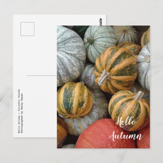 hallo herfst - Gourds Briefkaart (Voorkant / Achterkant)