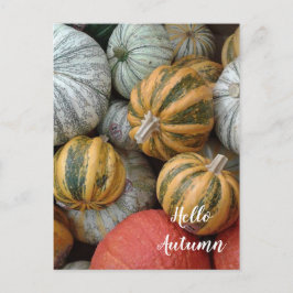 hallo herfst - Gourds Briefkaart