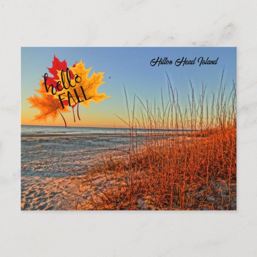 hallo Herfst Hilton Head Island Beach South Caroli Briefkaart (Voorkant)