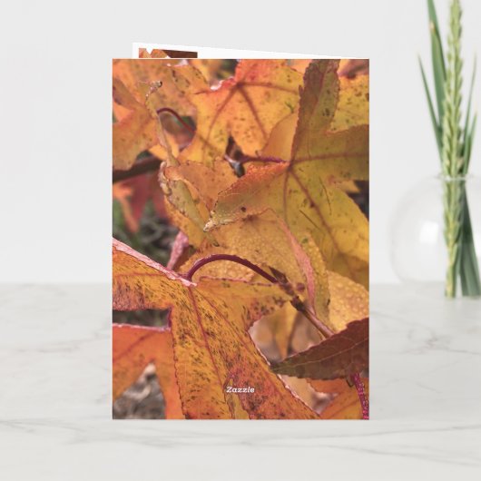 "Hallo Herfst!" Wenskaart Kaart (Achterkant)