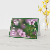 Hallo - het Roze Wenskaart van de Klaverzuring Kaart (Gele Bloem)