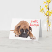 Hallo / Hi Boxer Puppy - Bruine & Witte Hond Kaart (Gele Bloem)