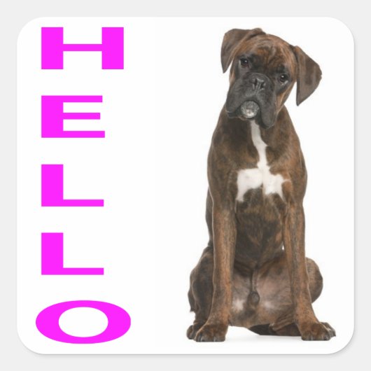 Hallo Hi Boxer Puppy Dog PurpleGroet Sticker (Voorkant)