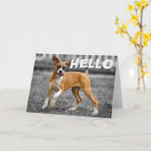 Hallo / Hi Boxer Puppy Dog - Vriendschap, Miss You Kaart (Gele Bloem)