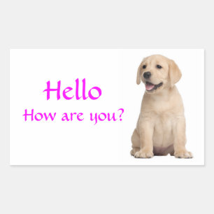 Hallo Hi Labrador Retriever Puppy Dog Stickers