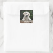 Hallo Hi Labrador Retriever Puppy Dog Stickers (Tas)
