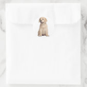 hallo / Hi Labrador Retriever Puppy Dog Stickers (Tas)