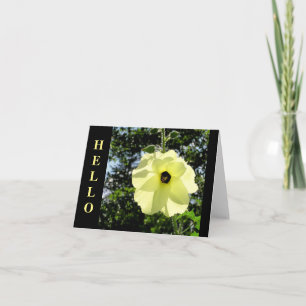 HALLO HIBISCUS / MAANLICHT-GEEL, MET ACHTERGRONDVE KAART