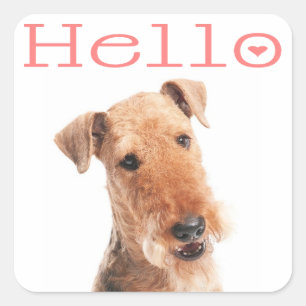Hallo / Hoi Airedale Puppy Hond Sticker / Label