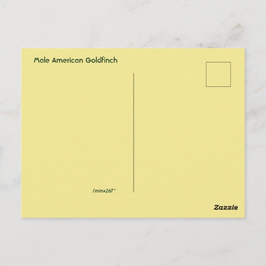 Hallo, Hoi, Amerikaanse Goudvink Briefkaart (Achterkant)