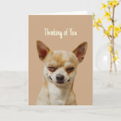 Hallo Hoi! Denken aan jou Grappig Lachend Chihuahu Kaart (Gele Bloem)