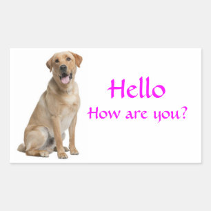 Hallo / Hoi Labrador Retriever Puppies Hond Sticke Rechthoekige Sticker