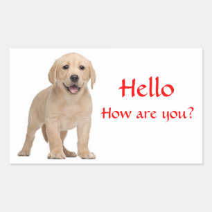 Hallo / Hoi Labrador Retriever Puppy Honden Sticke Rechthoekige Sticker