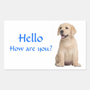 Hallo / Hoi Labrador Retriever Puppy Honden Sticke Rechthoekige Sticker