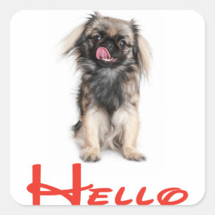 Hallo / Hoi Pekingese Puppy Hond Groet Sticker