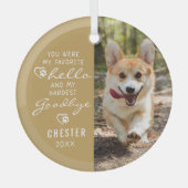 Hallo Hond Memorial Foto Favoriet Glas Ornament (Voorkant)