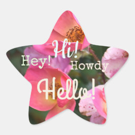 hallo! Howdy! Hoi! Ventilator Ster Sticker