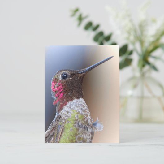 hallo Hummingbird Briefkaart (Staand voorkant)