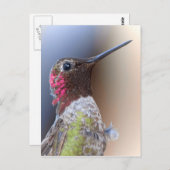 hallo Hummingbird Briefkaart (Voorkant / Achterkant)
