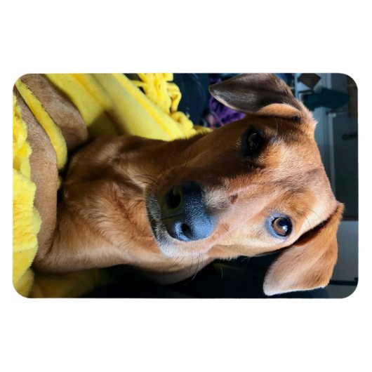 hallo iedereen magneet (Horizontaal)