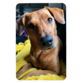 hallo iedereen magneet (Verticaal)