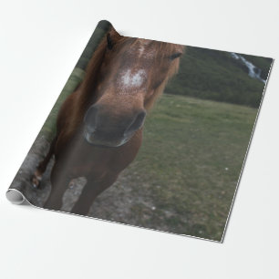 hallo IK BEN EEN HORSE Cadeaupapier