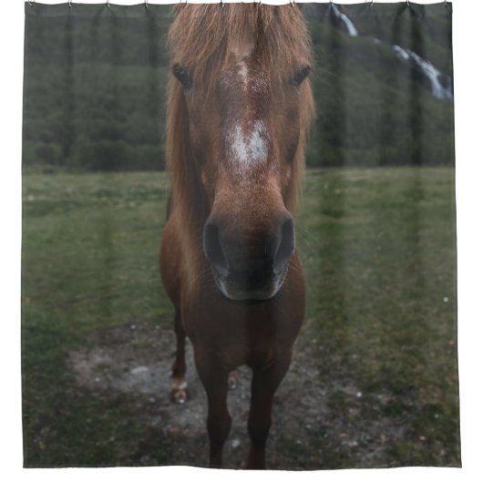 hallo IK BEN EEN HORSE Douchegordijn (Voorkant)