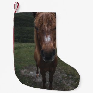 hallo IK BEN EEN HORSE Kleine Kerstsok