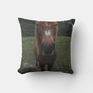 hallo IK BEN EEN HORSE Kussen