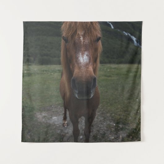 hallo IK BEN EEN HORSE Wandkleed (Voorkant)