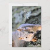 hallo! Ik ben maf. Kaart (Voorkant)