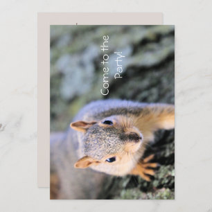 hallo! Ik ben maf. Kaart