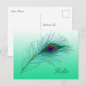 hallo, in aanraking blijven met Peacock Feathers Briefkaart (Voorkant / Achterkant)