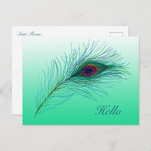 hallo, in aanraking blijven met Peacock Feathers Briefkaart (Voorkant / Achterkant)