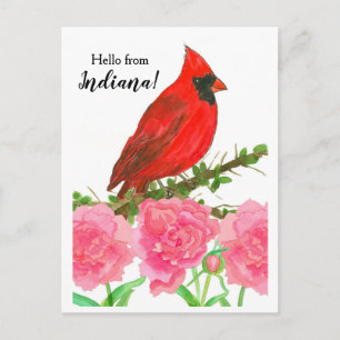Hallo Indiana Red Mannelijke Kardinaal Bird Briefkaart