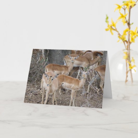 hallo kaart (Gele Bloem)