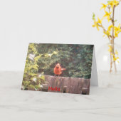 Hallo Kaart (Gele Bloem)