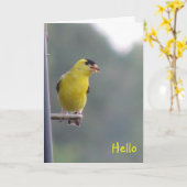 hallo kaart (Gele Bloem)