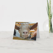 Hallo Kaart (Voorkant)