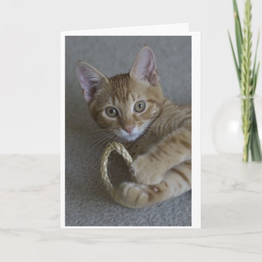 hallo kaart (Voorkant)