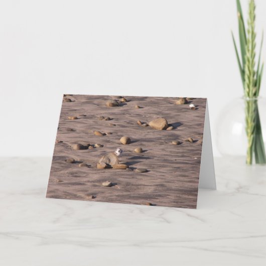 Hallo Kaart (Voorkant)