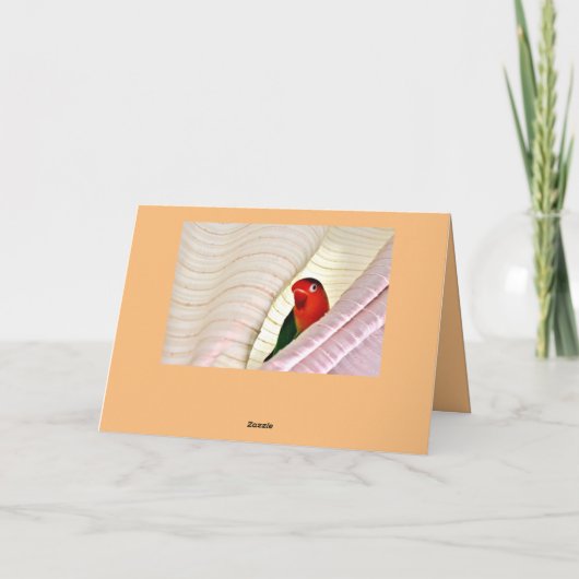 hallo! kaart (Achterkant)