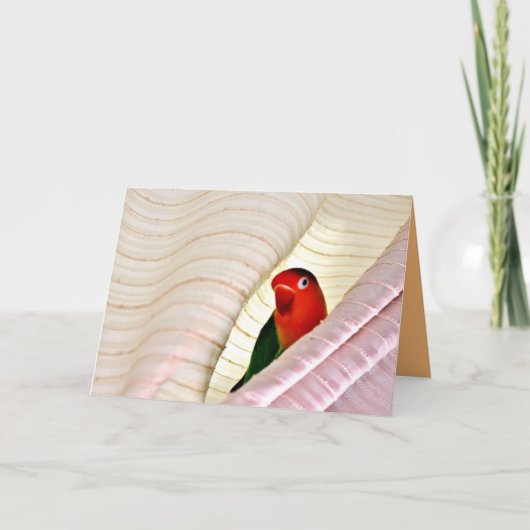 hallo! kaart (Voorkant)