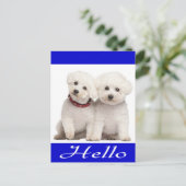 Hallo Kaart Bichon Frise Puppy Dog (Staand voorkant)