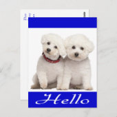 Hallo Kaart Bichon Frise Puppy Dog (Voorkant / Achterkant)