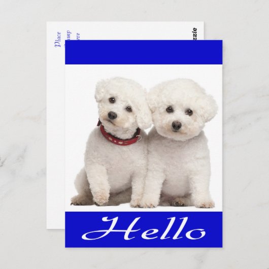 Hallo Kaart Bichon Frise Puppy Dog (Voorkant / Achterkant)