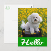 Hallo Kaart Bichon Frise Puppy Dog (Voorkant / Achterkant)