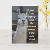 Hallo Kaart | Schattigee Funny Llama Humor (Gele Bloem)