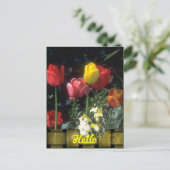 Hallo Kaarten (Staand voorkant)