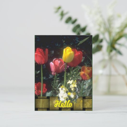 Hallo Kaarten (Staand voorkant)